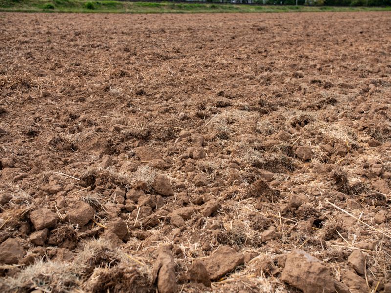 Soil Quality and Preparation