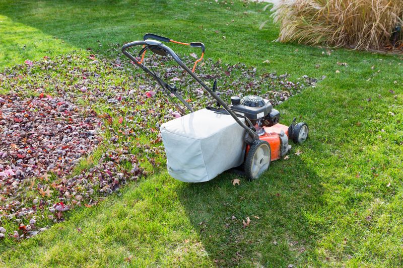 Seasonal Lawn Services