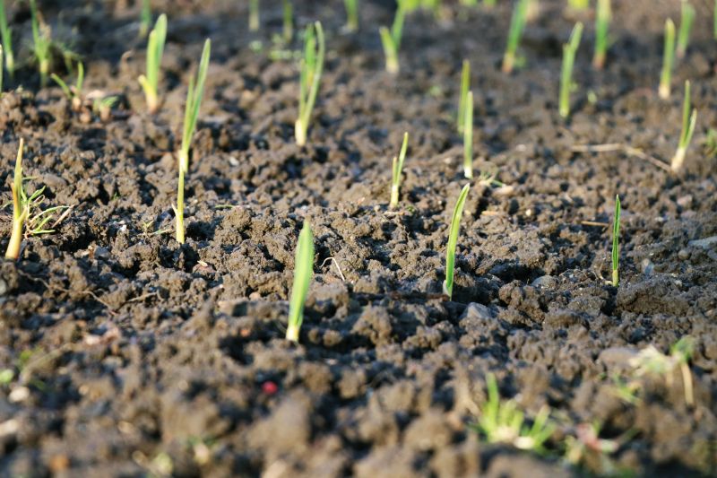 Spring Organic Landscapings