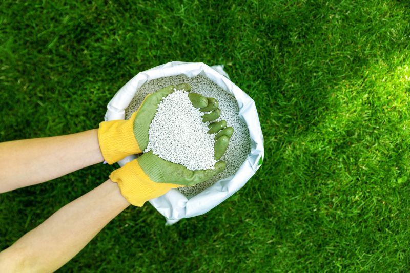 Organic Lawn Care Specialists